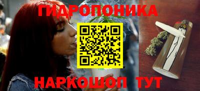 ECSTASY Обь
