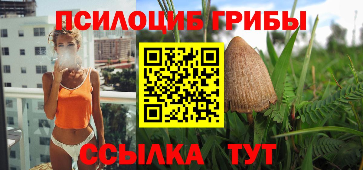 Галлюциногенные грибы Psilocybine cubensis  Вход с VPN  Славгород 
